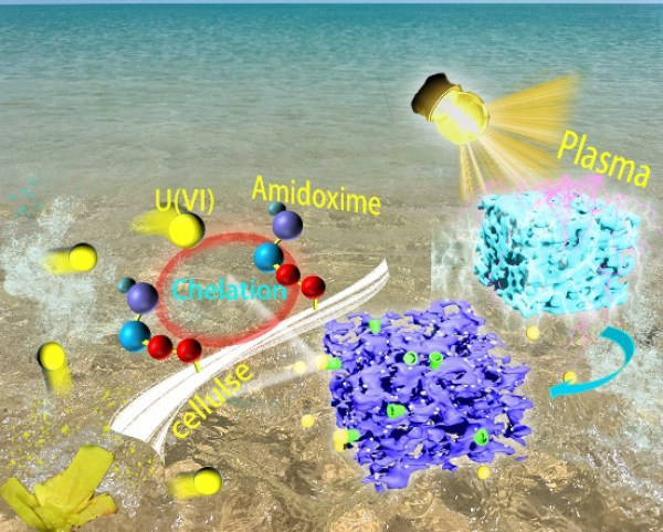 等离子体所创新性采用等离子体技术制备偕胺肟复合材料用于海水提铀
